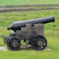 Cannon