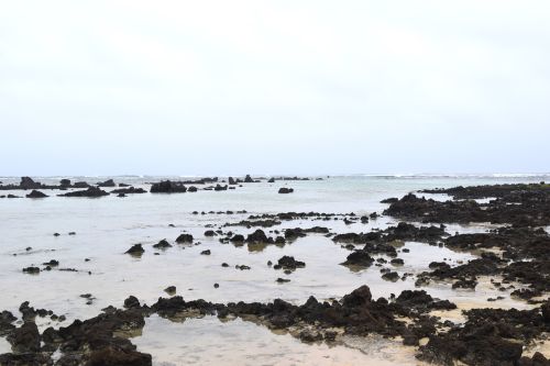 sea